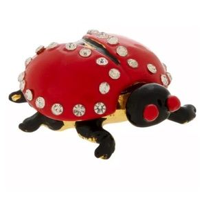 New Ladybug jewelry box